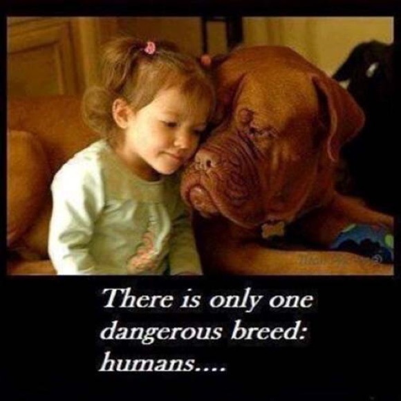 Meet your Posher, Allison - Picture 4 of 8